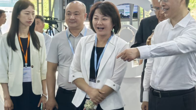 刹车盘品牌性价比对比：如何选择合适的产品